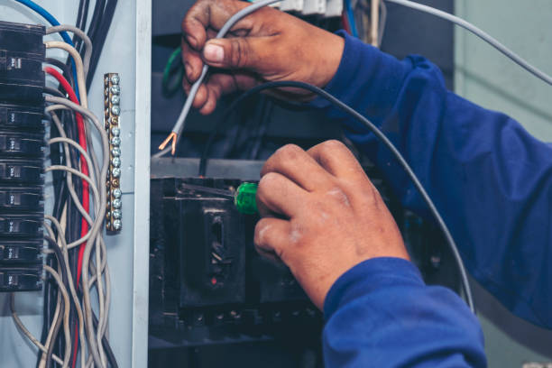 Best Electrical Wiring Services  in Red Lake Falls, MN